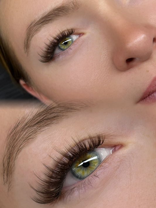 D 0.03 brown mixed trays